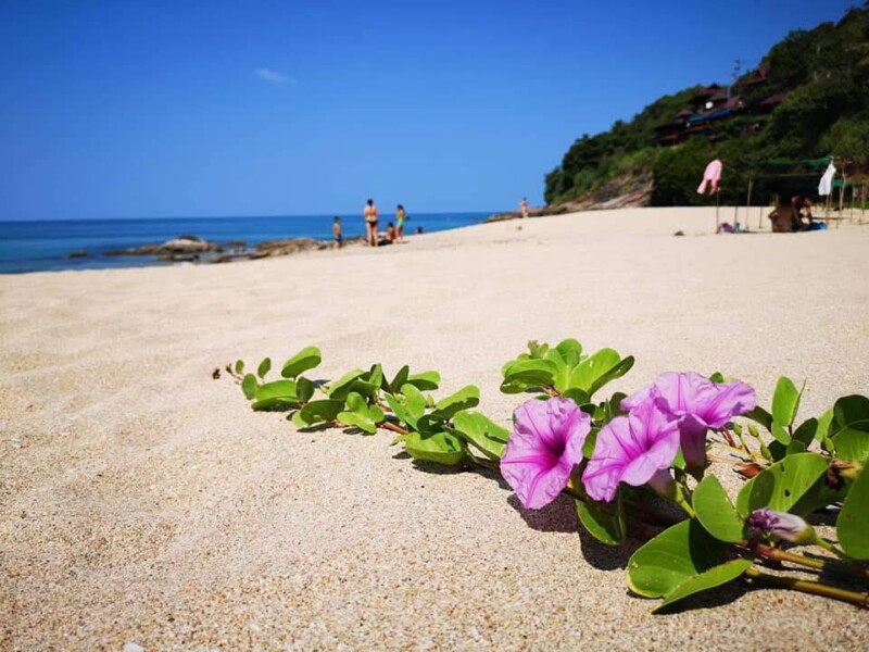 Koh Lanta car rentals (12)